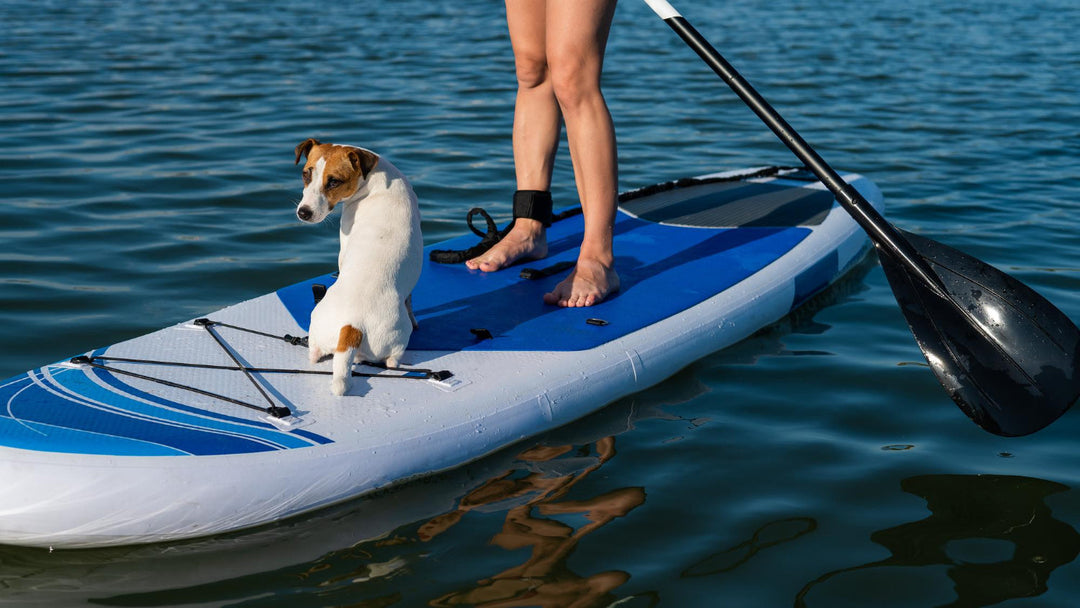 Inflatable Paddle Boards