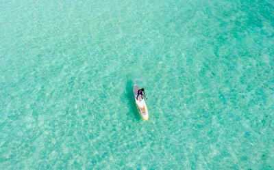 Handling Strong Winds While Paddle Boarding