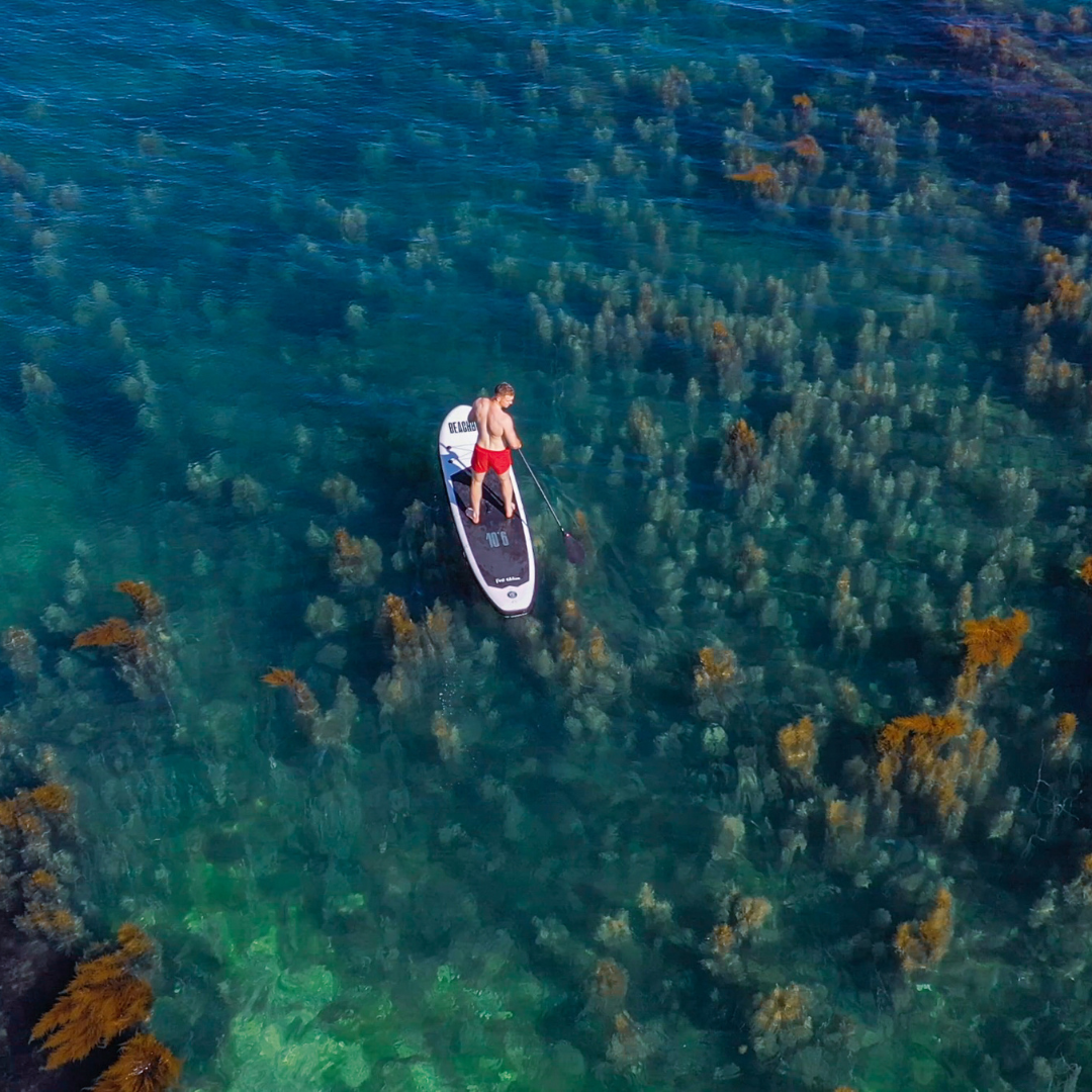THE OG PADDLE BOARD FULL KIT (PRE-ORDER ETA 6/10/25)