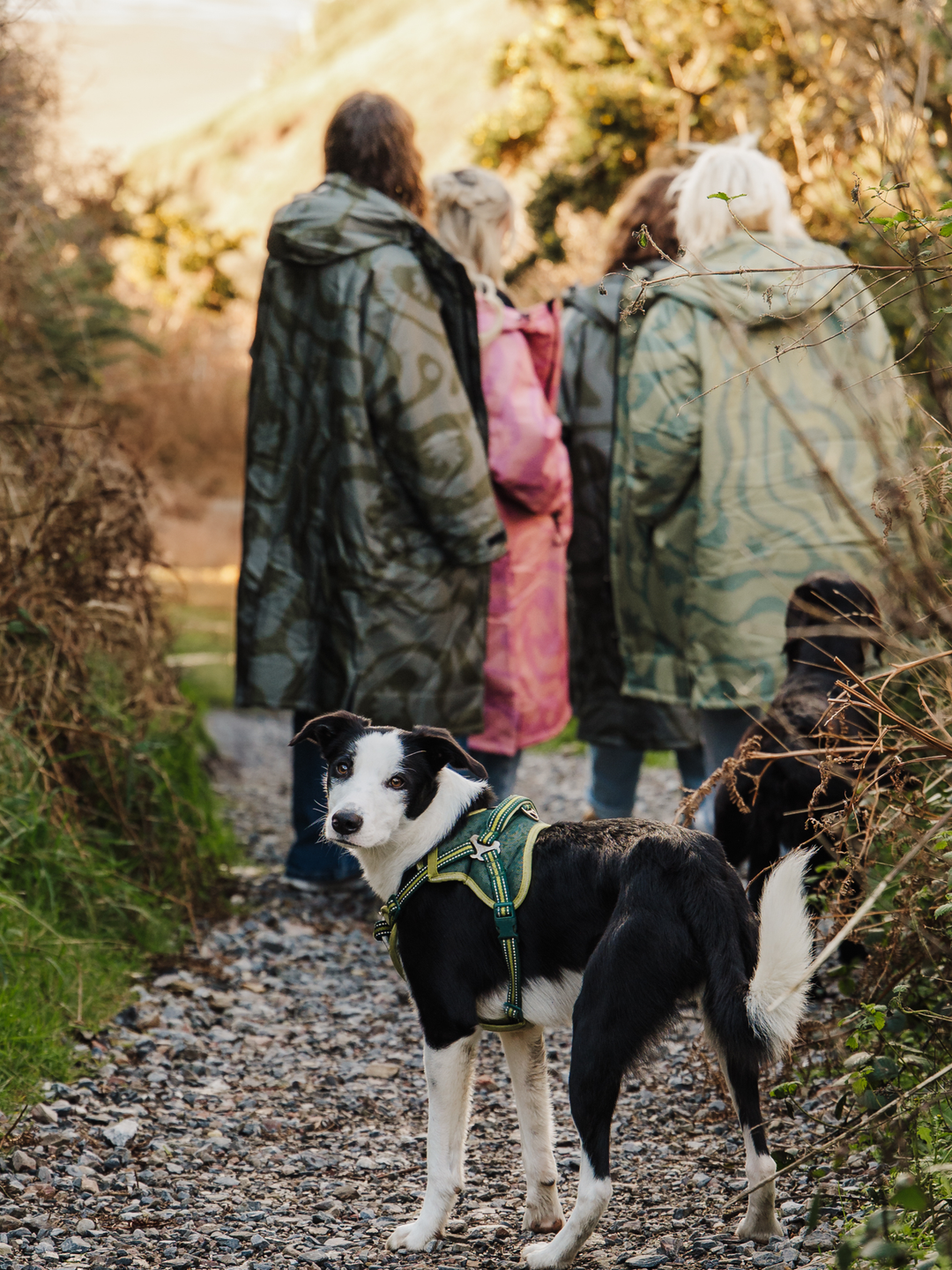 CORAL COLLECTION BROBE - OLIVE GREEN